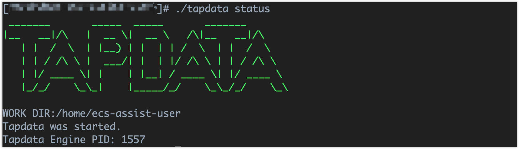 Command to check the status of the Agent